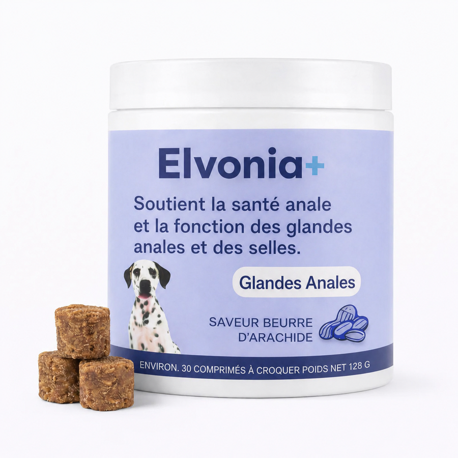 OFFREZ DU SOULAGEMENT À VOTRE CHIEN AUJOURD'HUI AVEC 20% DE RÉDUCTION !
