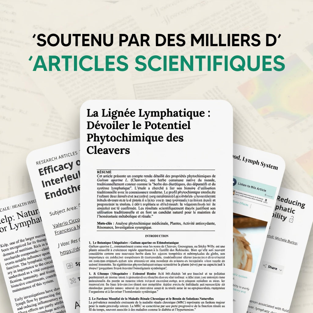 Nouvelle formule à puissance maximale | Drainage lymphatique Flow+ par Elvonia
