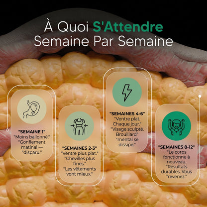 Nouvelle formule à puissance maximale | Drainage lymphatique Flow+ par Elvonia