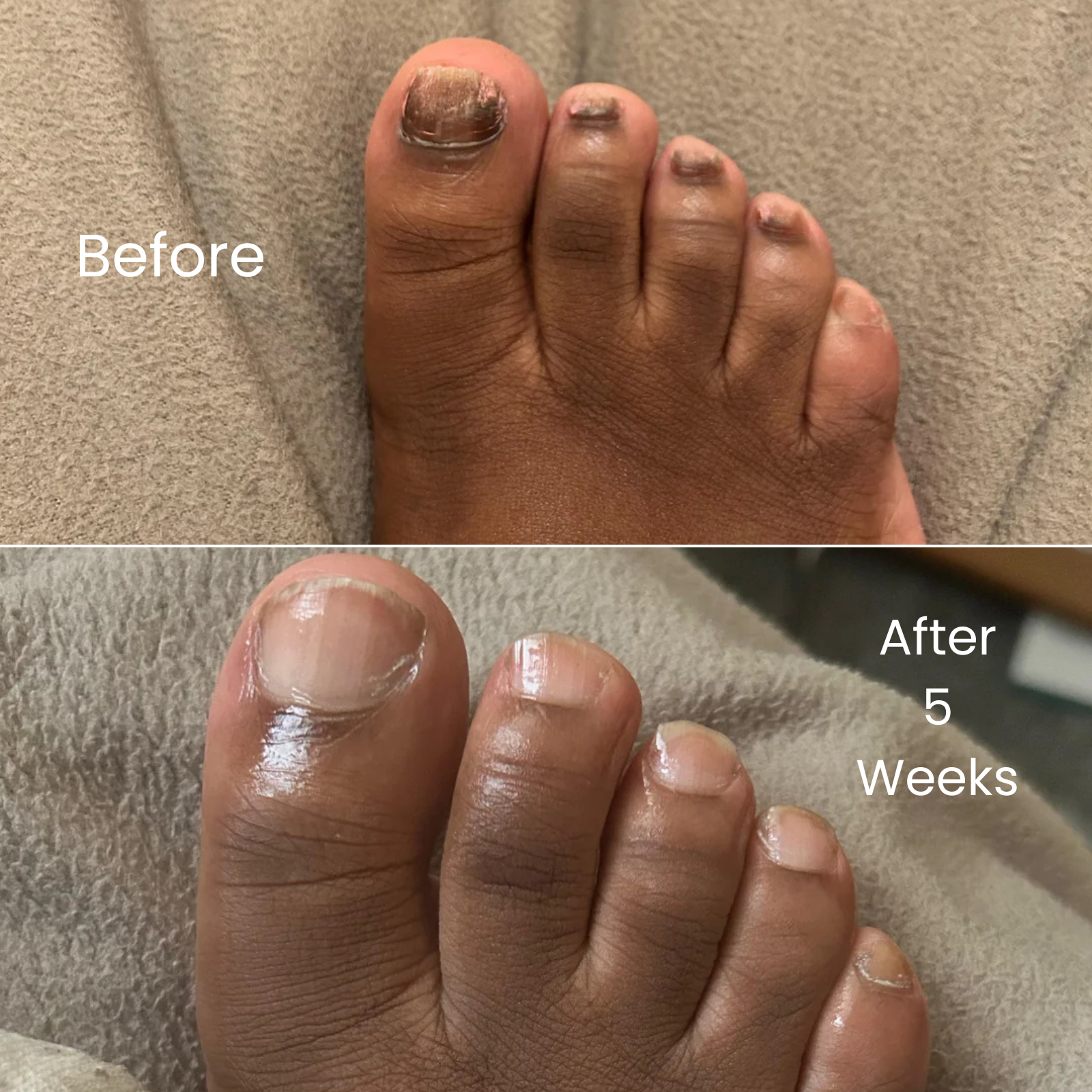 Weekly transformation timeline